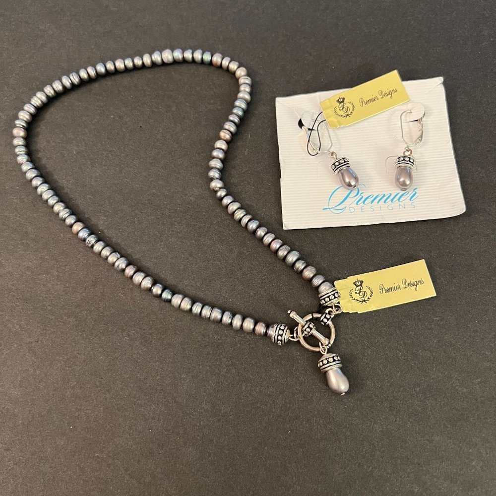 NWT Premier Designs Shades of Grey Faux Pearl Silver Toggle Necklace Ear…